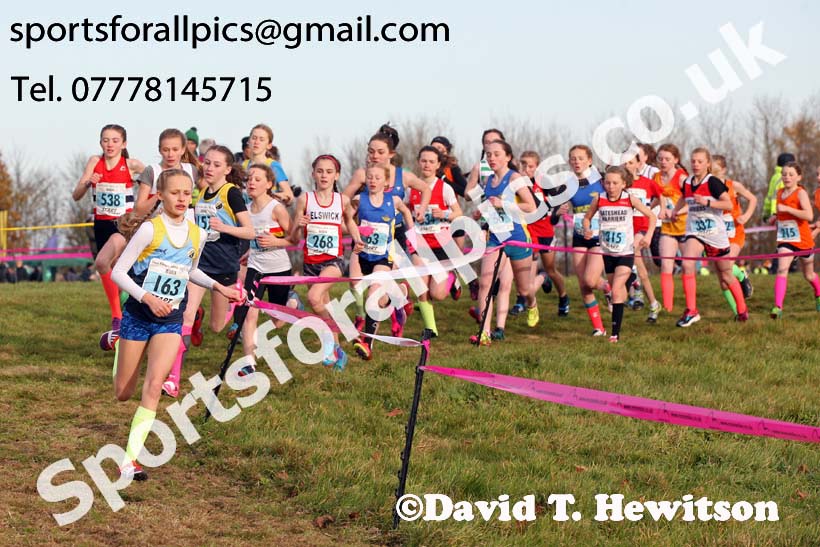 Girls under-13s 2017 Start Fitness North Eastern Harrier League, Aykley Heads, Durham. Photo:  David T. Hewitson/Sports for All Pics